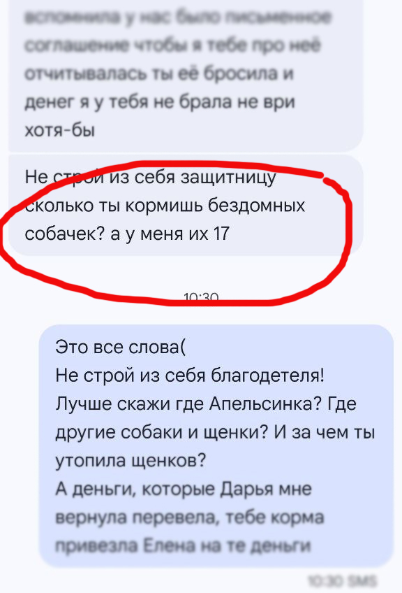 В переписке с волонтёрами Светлана сама признавалась, что у неё на передержке находится 17 собак