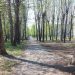 Ачинцы могут выбрать территорию для благоустройства в 2027 году