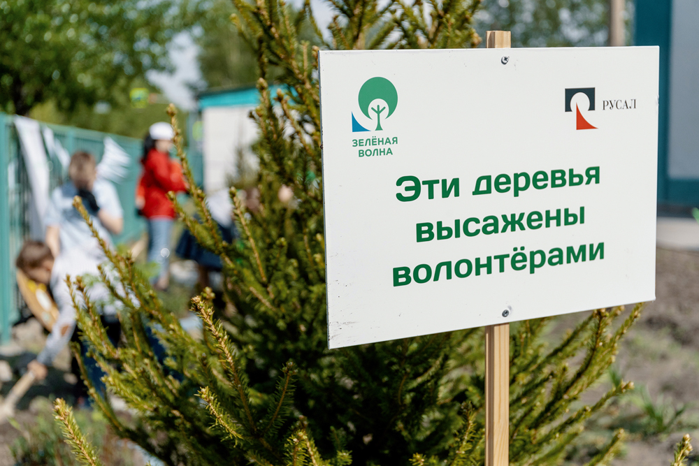 Зеленая волна отзывы. Волонтеры работают с растениями. Экологические акции в Красноярске. Экологическая акция "зеленый город. Организация зеленая волна.