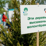 Традиционный экологический марафон РУСАЛа «Зелёная волна» пройдёт в Ачинске