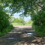 «Не знаем куда обратиться»: жители улицы Профсоюзной опасаются за свою безопасность из-за разросшейся травы