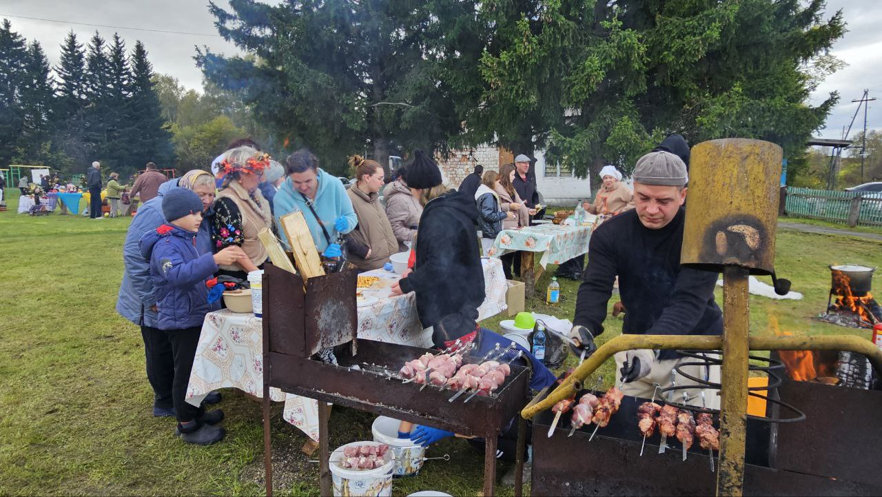 картошка 11