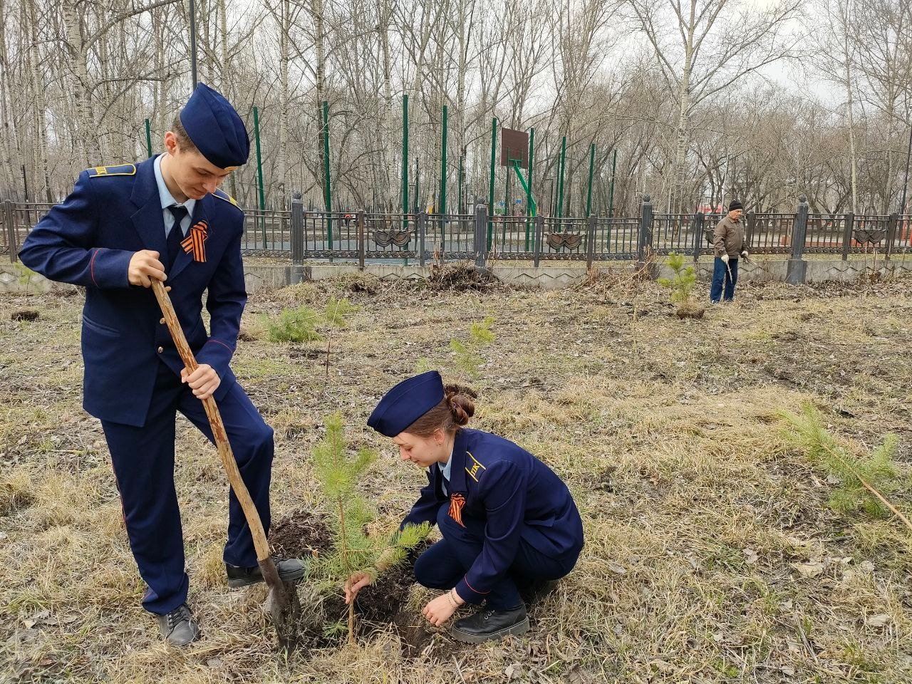 Высадка хвойных саженцев в парке Победы слушателями полицейского класса