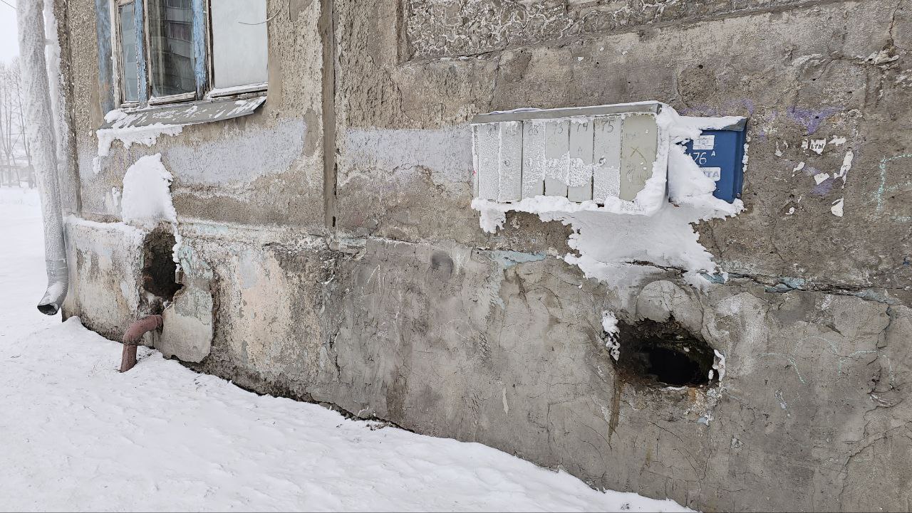 photo_2025-12-24_12-06-36