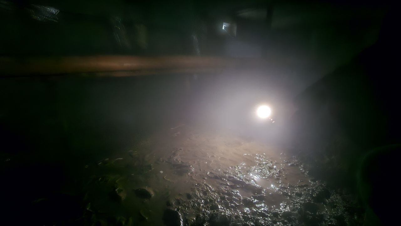 photo_2025-12-24_12-06-50