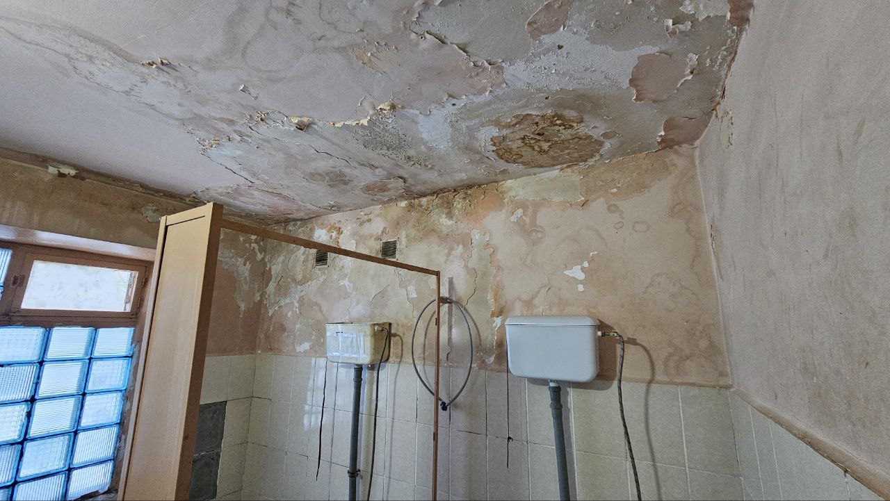 photo_2025-12-24_12-07-01