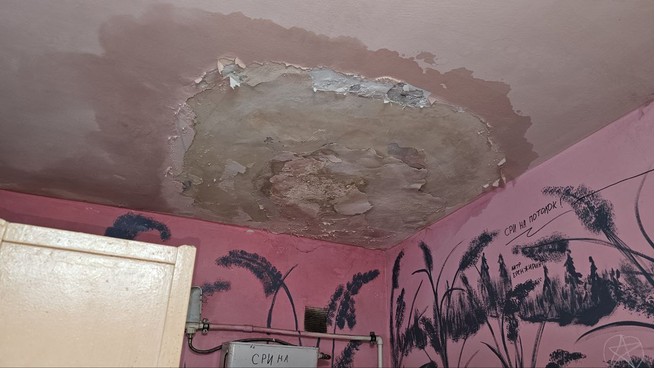 photo_2025-12-24_12-07-19