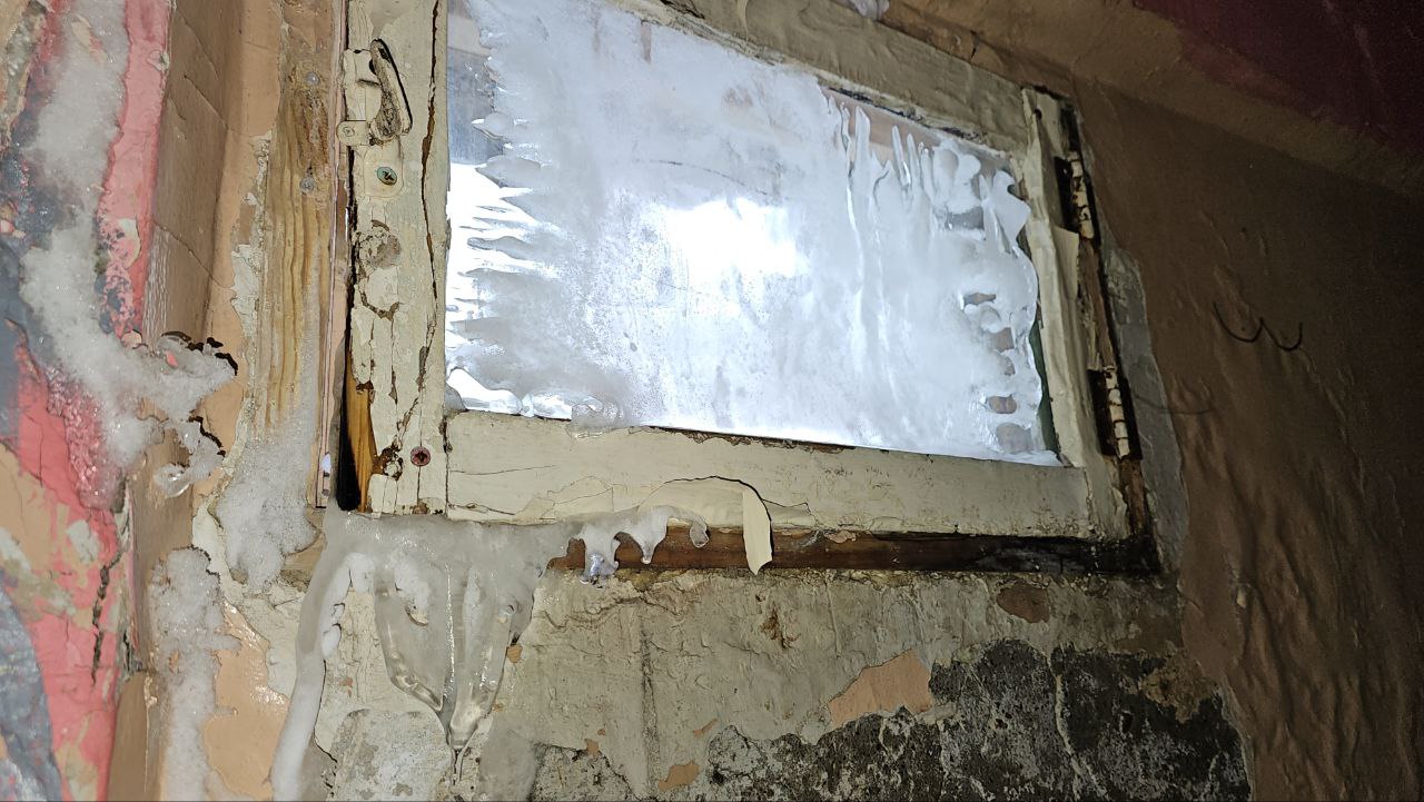 photo_2025-12-24_12-07-24