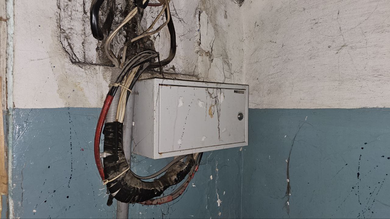 photo_2025-12-24_12-07-29