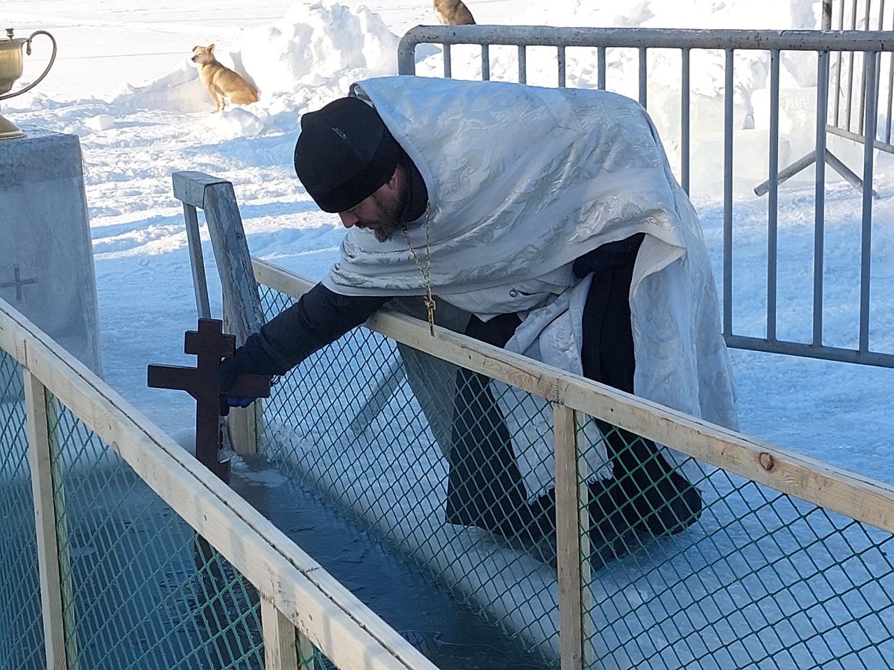 photo_2026-01-19_12-35-52