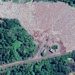 Ачинский предприниматель возместил ущерб за загрязнение почвы вокруг полигона ТБО в Большеулуйском районе