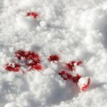 В Ачинске водителя грузовика задавило во время присоединения прицепа