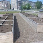 Возле городской библиотеки убрали коноплю