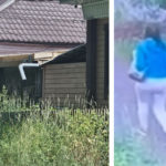 Следком возбудил уголовное дело по факту исчезновения 32-летней жительницы Ачинска и её пятилетней дочери